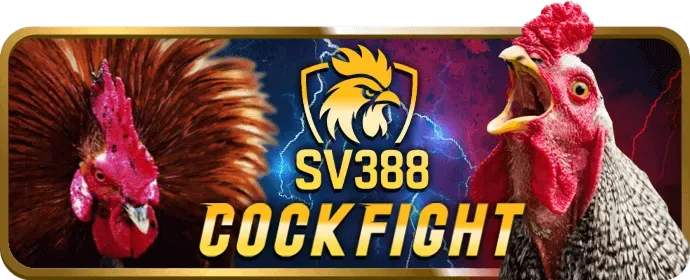 Bước 2 Xác Minh và Gửi Tiền